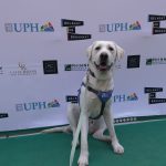 thumbnail: Belmont on Broadway Green Carpet Photos